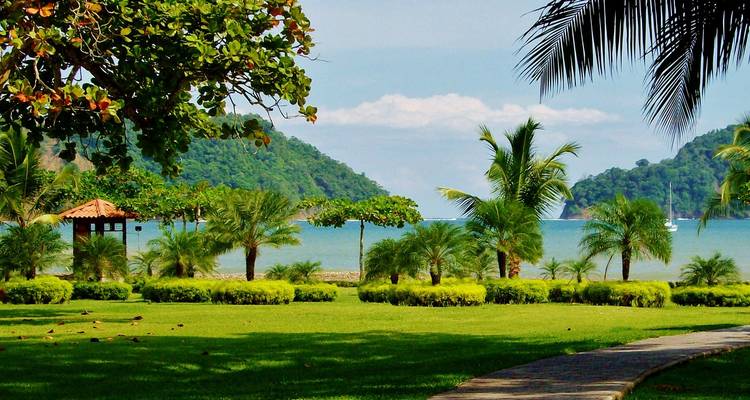 Vue panoramique de plage avec palmiers et collines au loin.