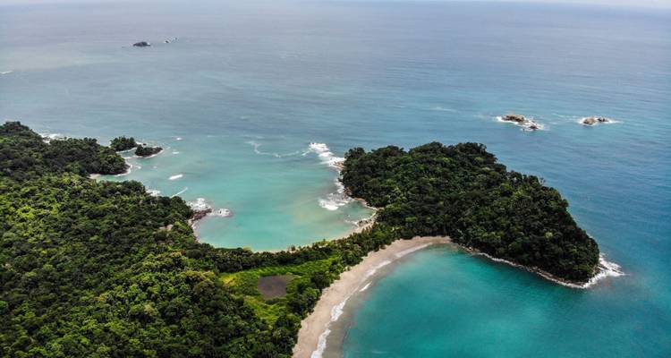 Vue aérienne d'une côte tropicale avec une végétation luxuriante.
