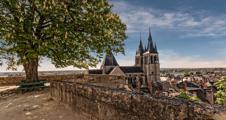 Terrasse en pierre surélevée avec arbre feuillu surplombant une église gothique et les toits d'une ville de la vallée de la Loire.
