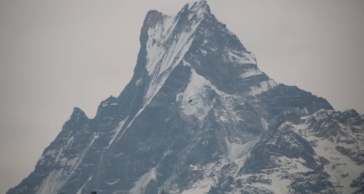 Ghorepani Ghandruk Trek - 9 Days - Nepalgram Adventure 3
