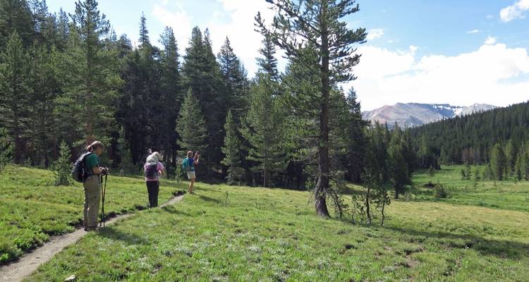 Trek guidée dans le parc national de Yosemite - Timberline BH Adventures 6