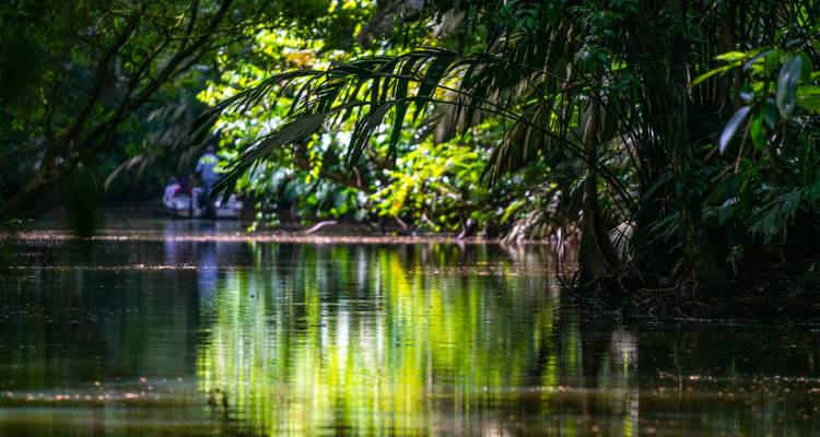 Jungle river with reflective water and distant tourists.