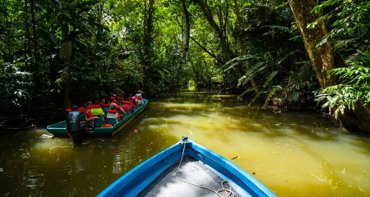 Tourists in boats navigating a jungle river.