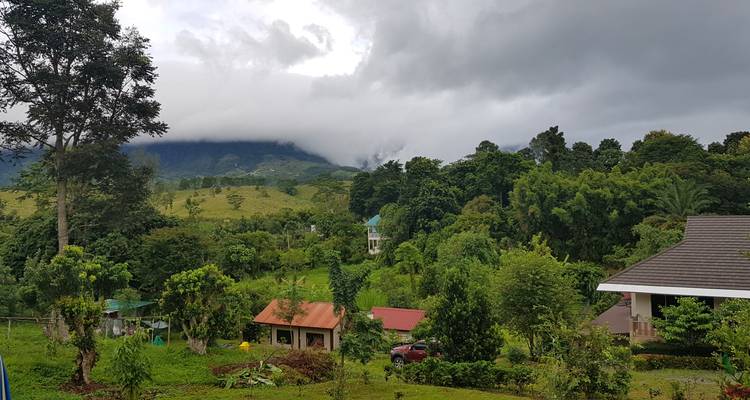 Üppige grüne Landschaft mit in Wolken gehüllten Bergen.
