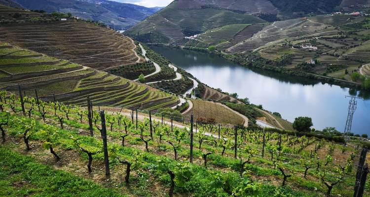 7-Day Small-Group Portugal Tours with Douro Valley - EcoTrilha Portugal Tours 10