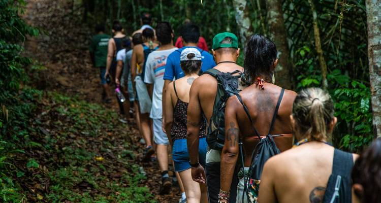 Ligne de randonneurs marchant dans une dense forêt tropicale humide sur un sentier étroit.