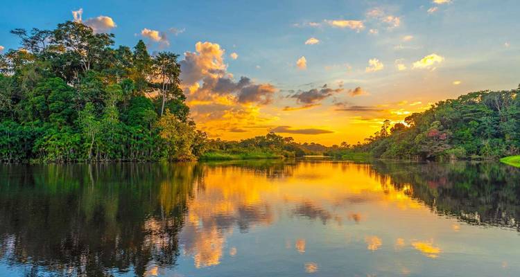 Der goldene Sonnenuntergang spiegelt sich in einer ruhigen Amazonas-Lagune wider, die von üppigen Dschungelbäumen begrenzt wird.