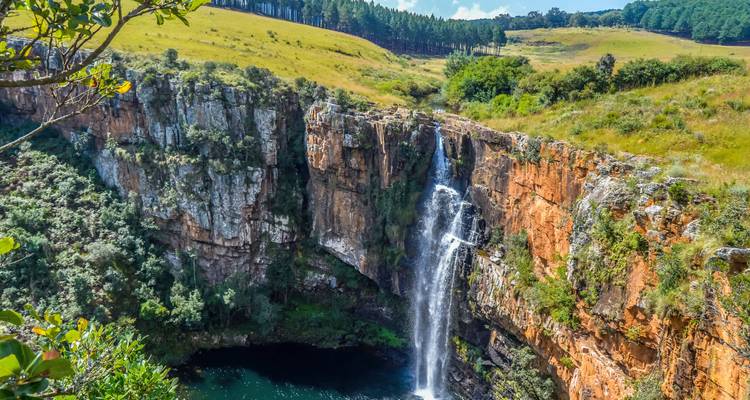Magnifique Afrique du Sud - Wingbuddy 6