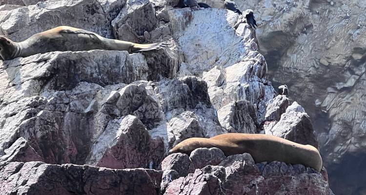 Travel in Style: Peru Coast to Cusco  – 9 Days - Unu Raymi Expeditions 3