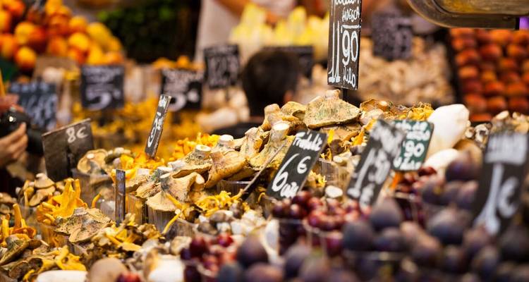 Descubre Madrid, País Vasco, Rioja, Barcelona - Explore! 10