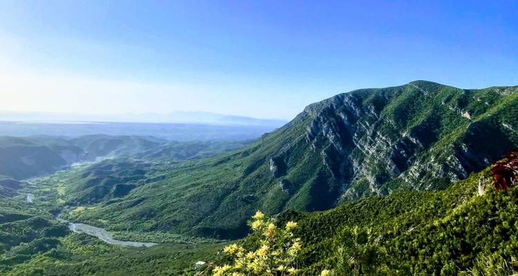 Expansive view of greenery and distant mountains under a clear sky.