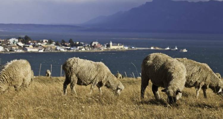 Trekking à Torres del Paine depuis Puerto Natales, tous les repas inclus - Signature DMC 9