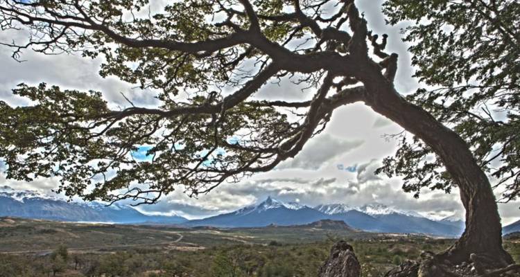 Trekking à Torres del Paine depuis Puerto Natales, tous les repas inclus - Signature DMC 10