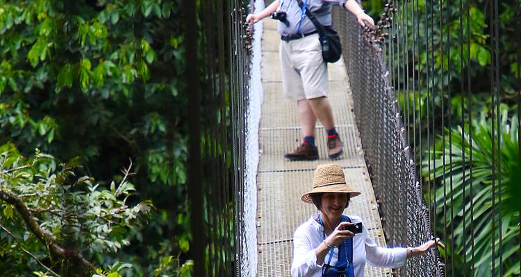 Personas cruzando un puente colgante alto en un bosque.