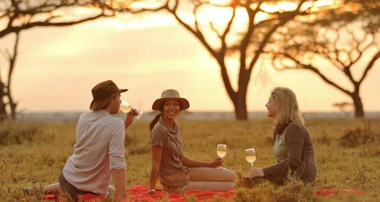 Three people enjoying a picnic with wine at sunset.