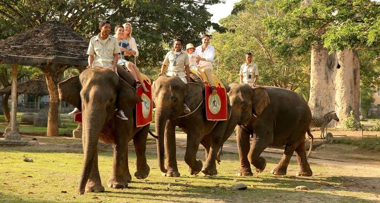 Les joyaux de l'Asie du Sud-Est : le Vietnam et Bali - 15 jours - un voyage inoubliable - Vietnam Allure Travel 8