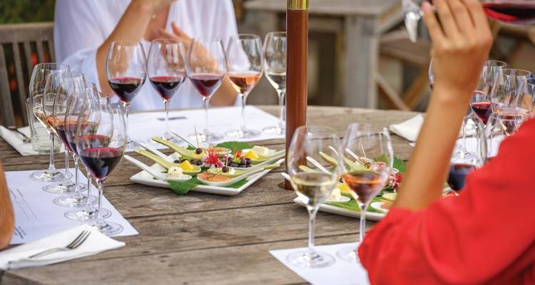 Dégustation de vin en plein air avec plusieurs verres et plateaux de fromage sur une table rustique