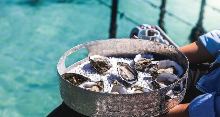 5-Day Eyre Peninsula Private Escape from Adelaide - Untamed Escapes 1