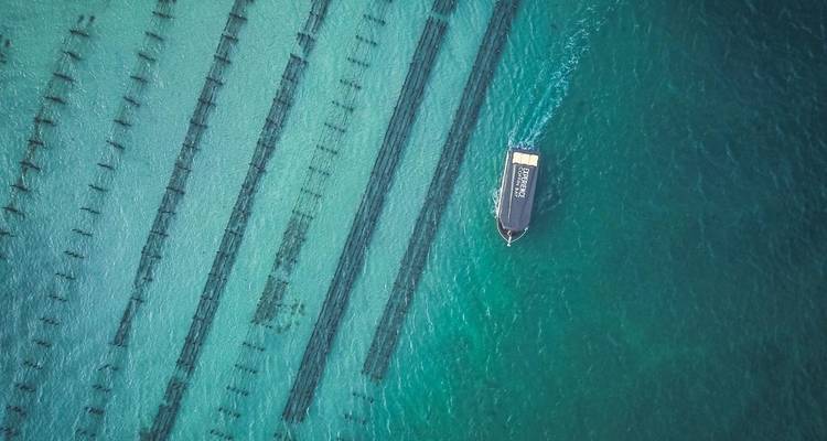 5-Day Eyre Peninsula Private Escape from Adelaide - Untamed Escapes 2