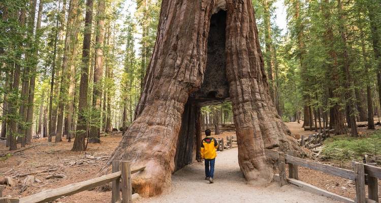 Parcs nationaux américains : Explorer et Eclipse - De San Fran à Vegas - Explore! 10