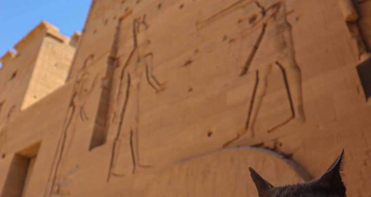 Le Caire et la croisière sur le Nil - Vols intérieurs inclus - Getaways Egypt  7
