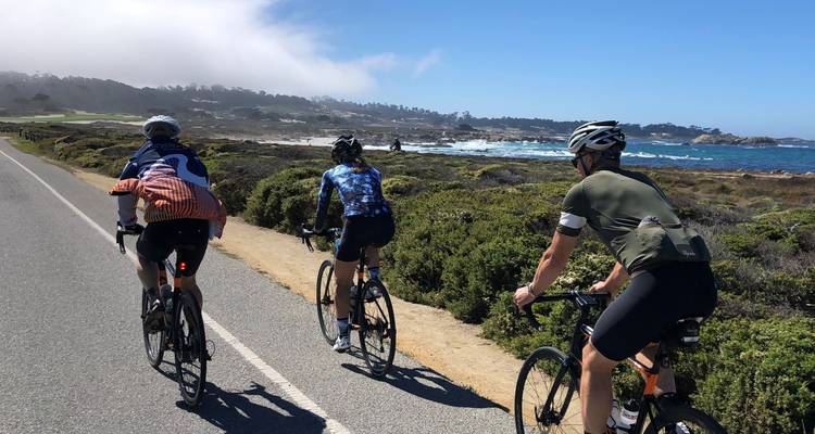 Cyclists riding along a coastal road.