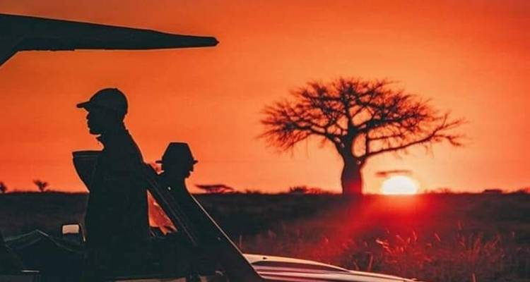 3 Day Best of Selous/Nyerere National Park - Afrishare Trekking And Safaris 2