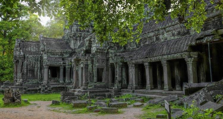 Ruinas de un templo antiguo cubiertas de musgo y rodeadas de árboles.