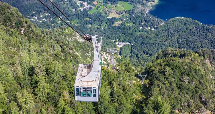 Seilbahn über üppigem Grün und einem See