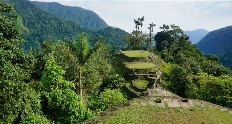 Terrazas antiguas en montañas boscosas de verde exuberante.