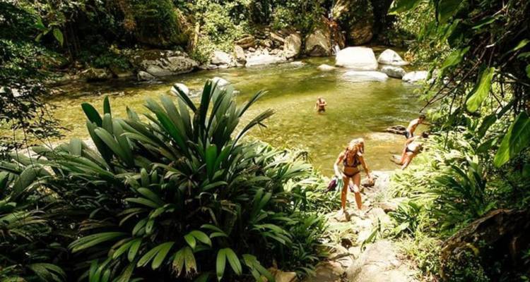 Personas disfrutando de una piscina natural rodeada de exuberante vegetación y rocas.