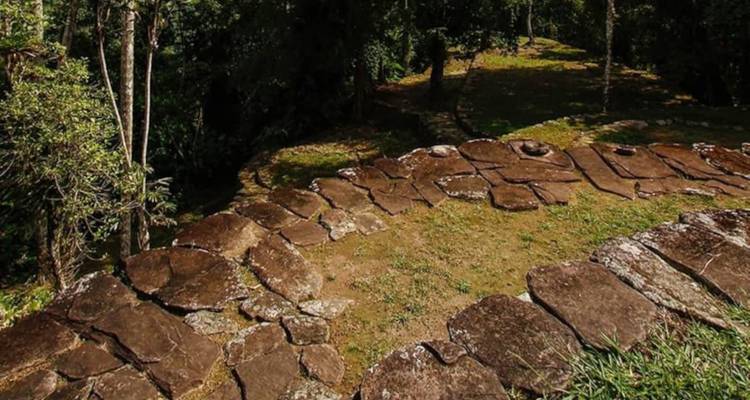 Plataforma circular de piedra antigua en un entorno selvático.