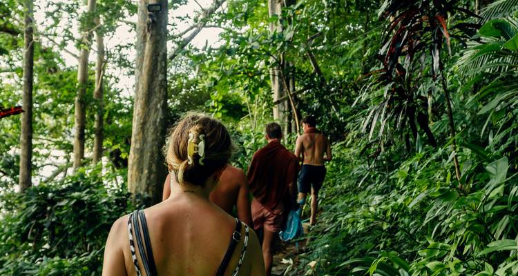 Personas caminando por un bosque denso en un sendero estrecho.