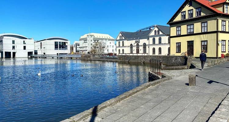 Blue lagoon y Reykjavík Sightseeing - billete confort a BL incluido - circuito privado de un Día - Travelling Iceland 6