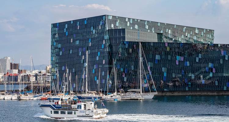 Blue lagoon y Reykjavík Sightseeing - billete confort a BL incluido - circuito privado de un Día - Travelling Iceland 8