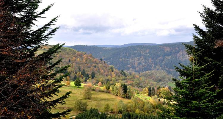 Une vallée pittoresque avec des arbres automnaux entourée de collines.