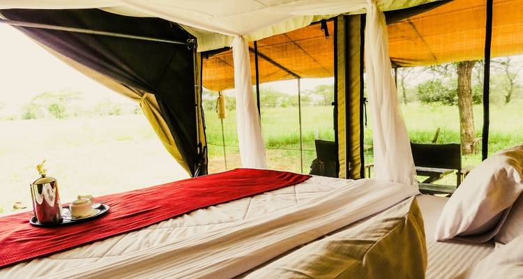 Safari fotográfico de 5 días en Tanzania - Adventure Makers Tanzania 2