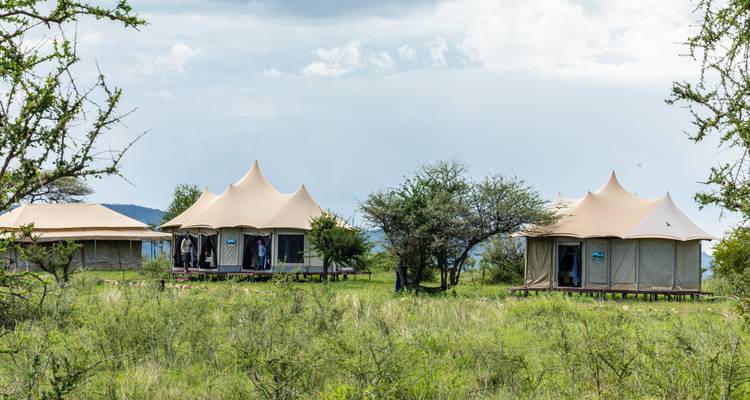 Elephant Safari Discover Tanzania 4 Days **Sustainable Approach to Travel - World Adventure Tours 6