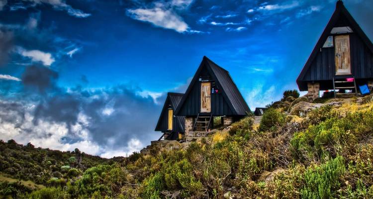 Kilimanjaro escalada ruta Marangu 5 días - Adventure Makers Tanzania 2