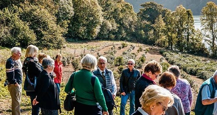 Les coins de la Cornouailles 2023 - Back-Roads Touring 1