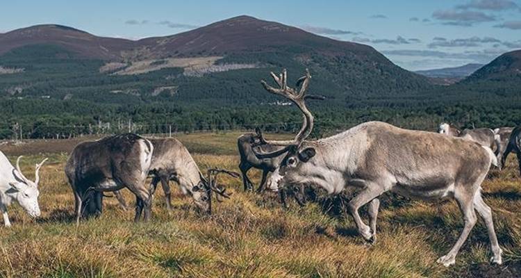 A Scottish Journey 2023 - Back-Roads Touring 10