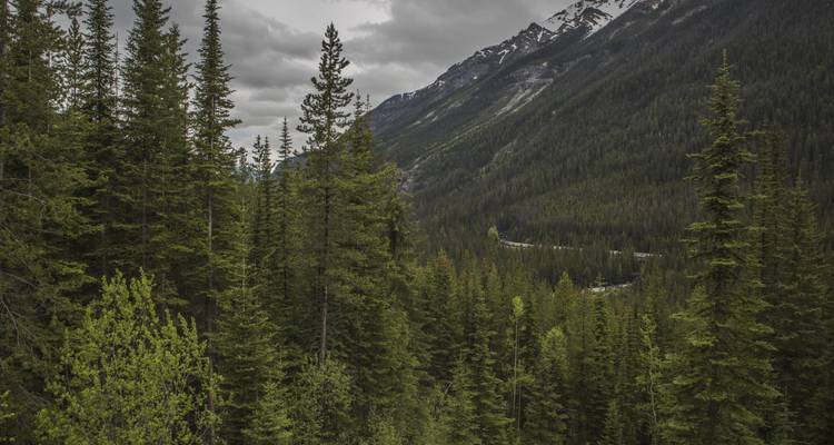Rocheuses canadiennes : Parcs nationaux en direction de l’ouest - G Adventures 7