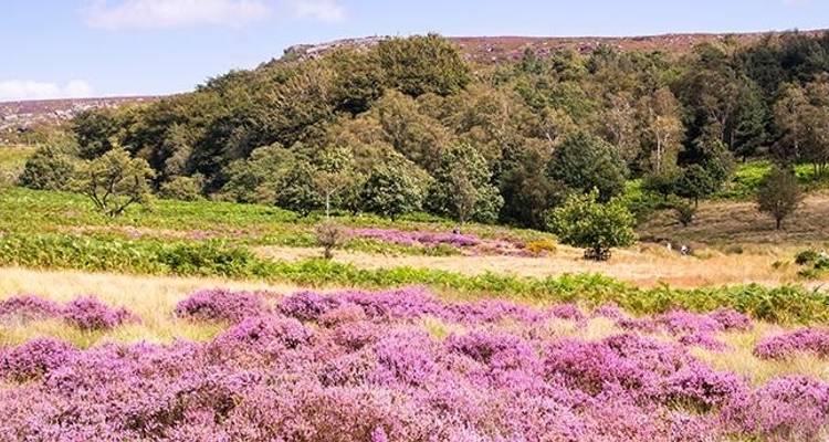 Enchanting Eastern England - Blue-Roads Touring 2