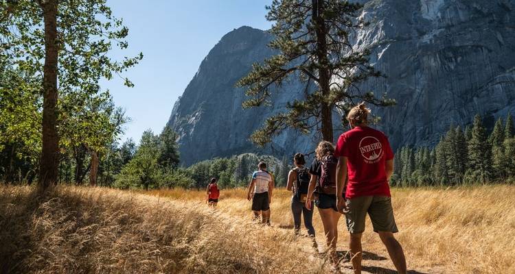 De LA à San Fran : Les parcs nationaux par excellence - Intrepid Travel 7