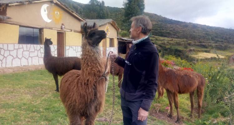 Personne tenant un lama dans un paysage rural.