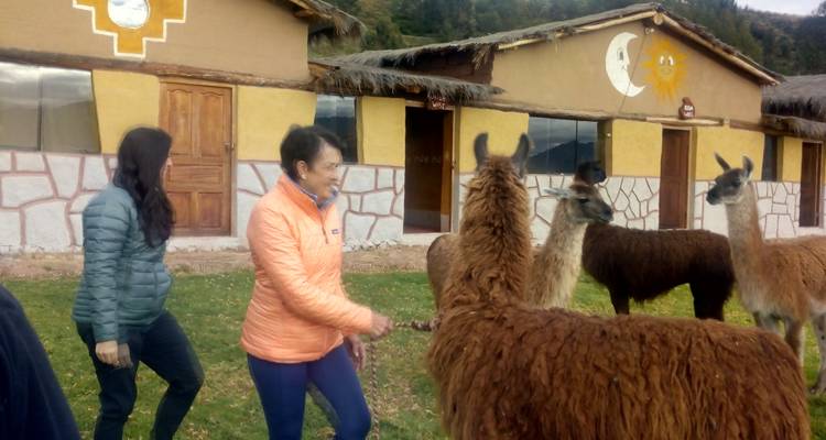 Deux personnes interagissant avec des lamas près d'un bâtiment.