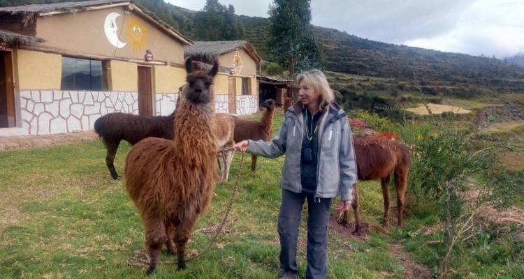 Femme nourrissant un lama dans un cadre champêtre.