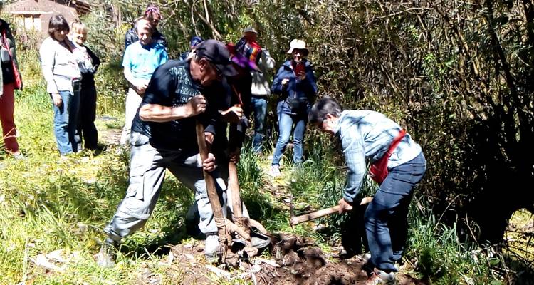Groupe de personnes creusant la terre dans un cadre extérieur.