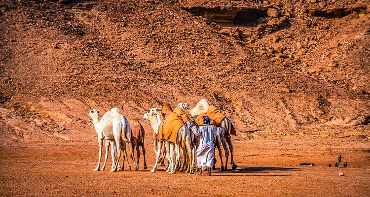 Tailor-Made Saudi Arabia Family Vacation, Daily Start & Private Guide - Agate Travel 9