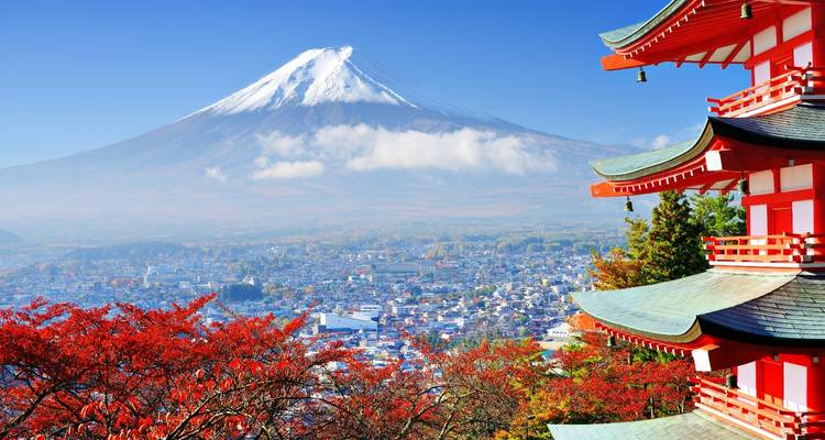 Le splendide Japon avec Nagoya - 9 jours (chambres d'hôtel privées 3 étoiles) - Stunning Tours 4